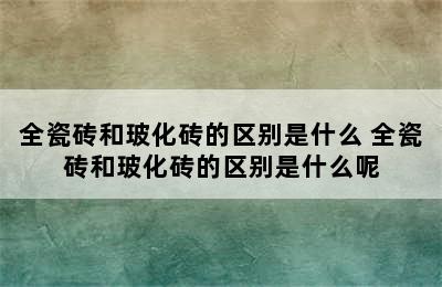 全瓷砖和玻化砖的区别是什么 全瓷砖和玻化砖的区别是什么呢